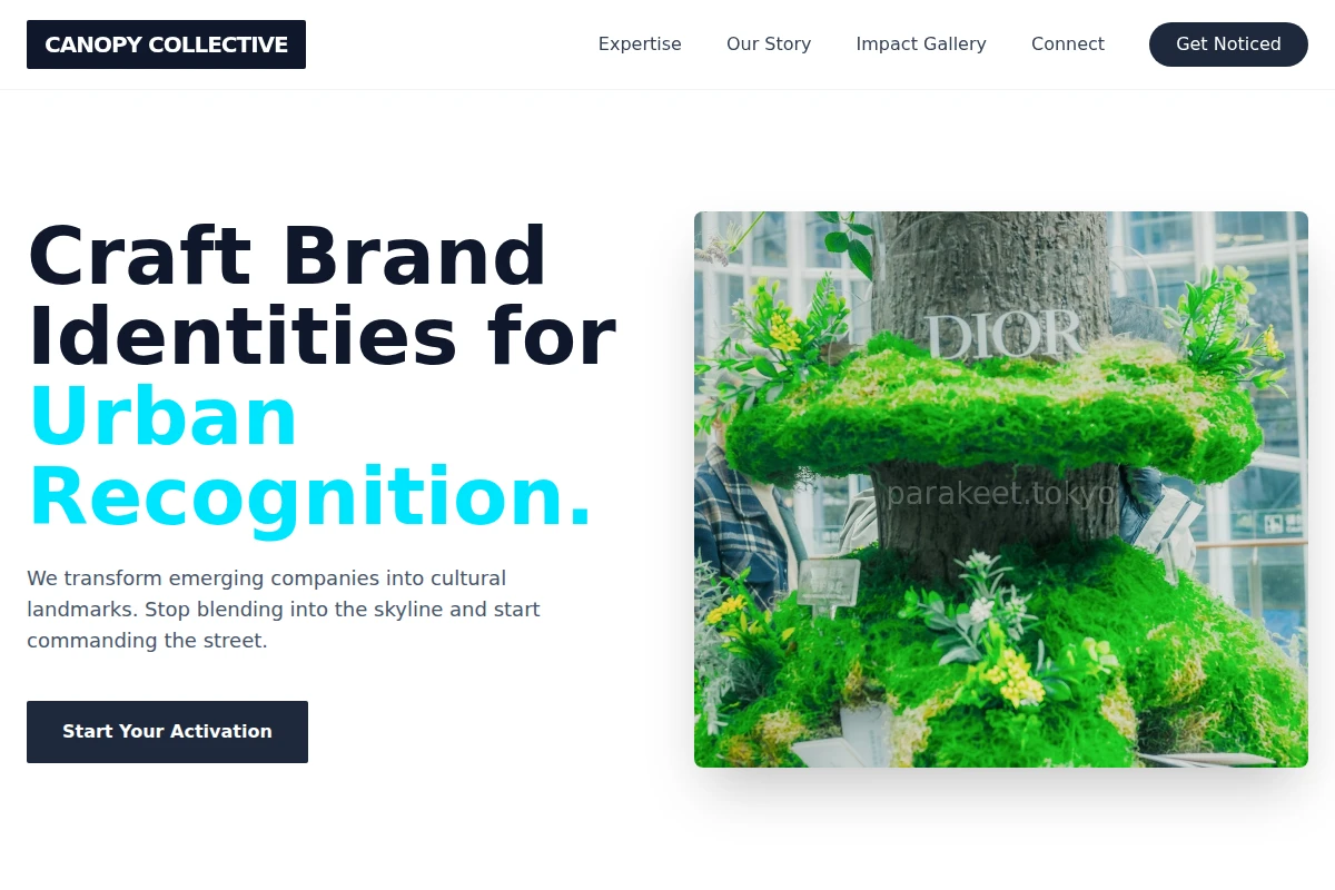 Focus Brand Activation